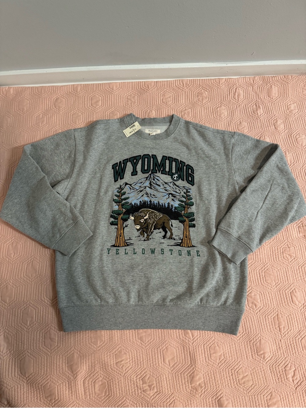 Aeropostale Gray Wyoming Yellowstone Graphic Crewneck